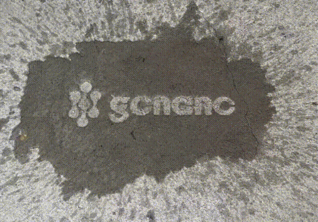 A Step-by-Step Guide to Maintaining Concrete Surfaces