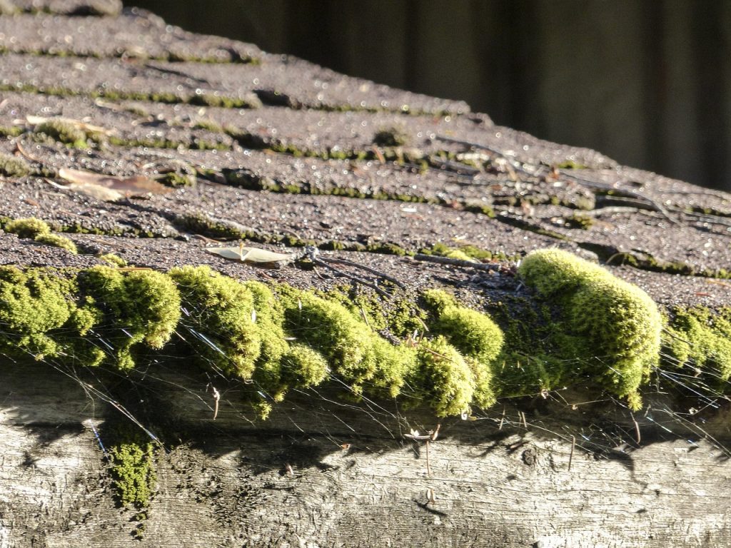 Why is my shingle roof aging faster than it should?