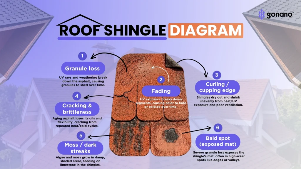 Diagram of an aging asphalt shingle labeling granule loss, curling edges, cracking, bald spots, and moss