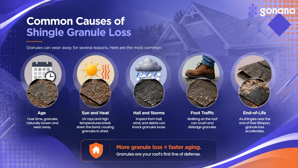 Five causes of shingle granule loss: age, sun and heat, storms and hail, foot traffic, end-of-life shingles
