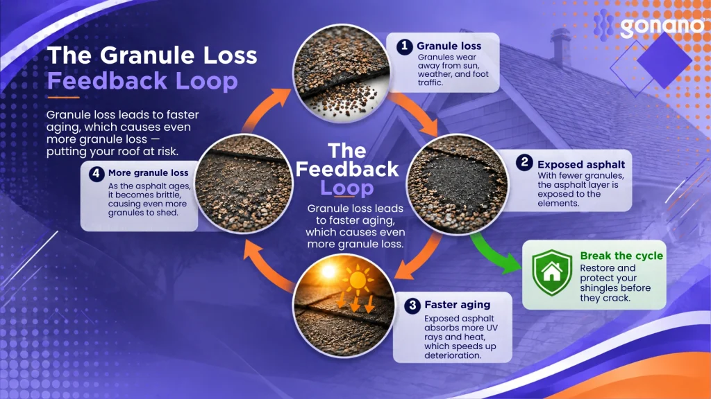 Cycle showing granule loss exposing asphalt, which ages faster and causes more granule loss